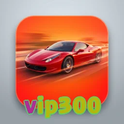 vip300